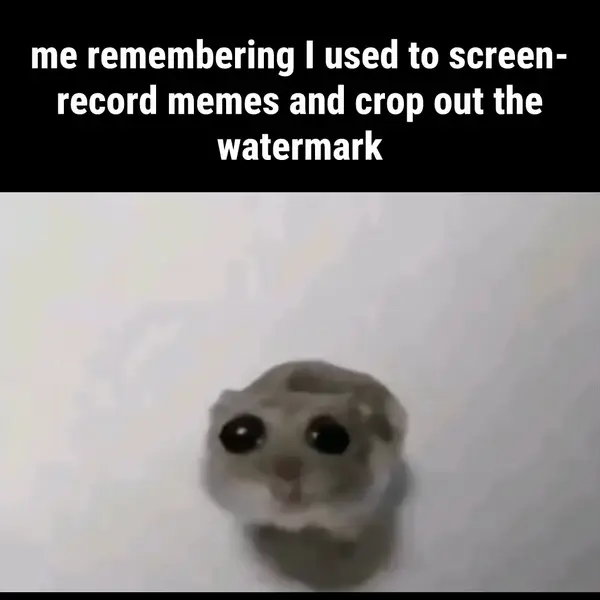 Sad Hamster video meme: me remembering I used to screen-record memes and crop out the watermark