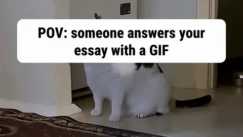 Huh Cat GIF meme: POV: someone answers your essay with a GIF