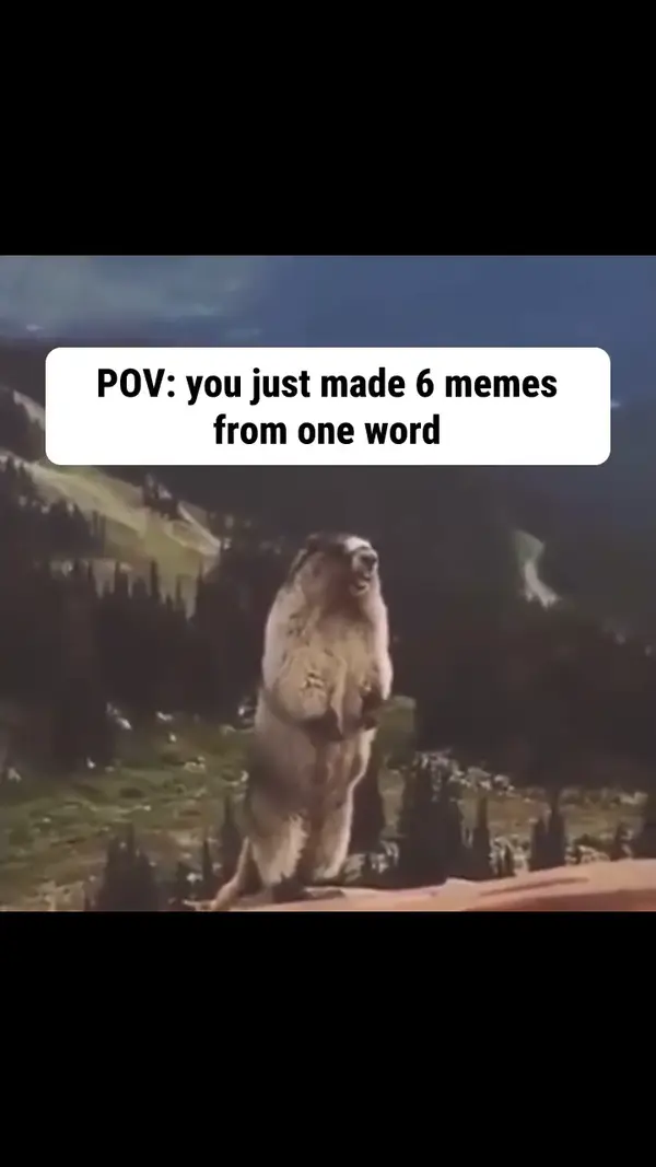 Screaming Marmot video meme: POV: you just made 6 memes from one word