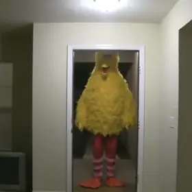Big Bird Kicks Down the Door