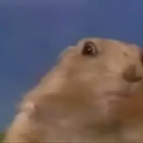 Dramatic Chipmunk
