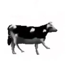Polish Cow Dancing