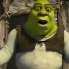 Shrek: What Are You Doing in My Swamp?